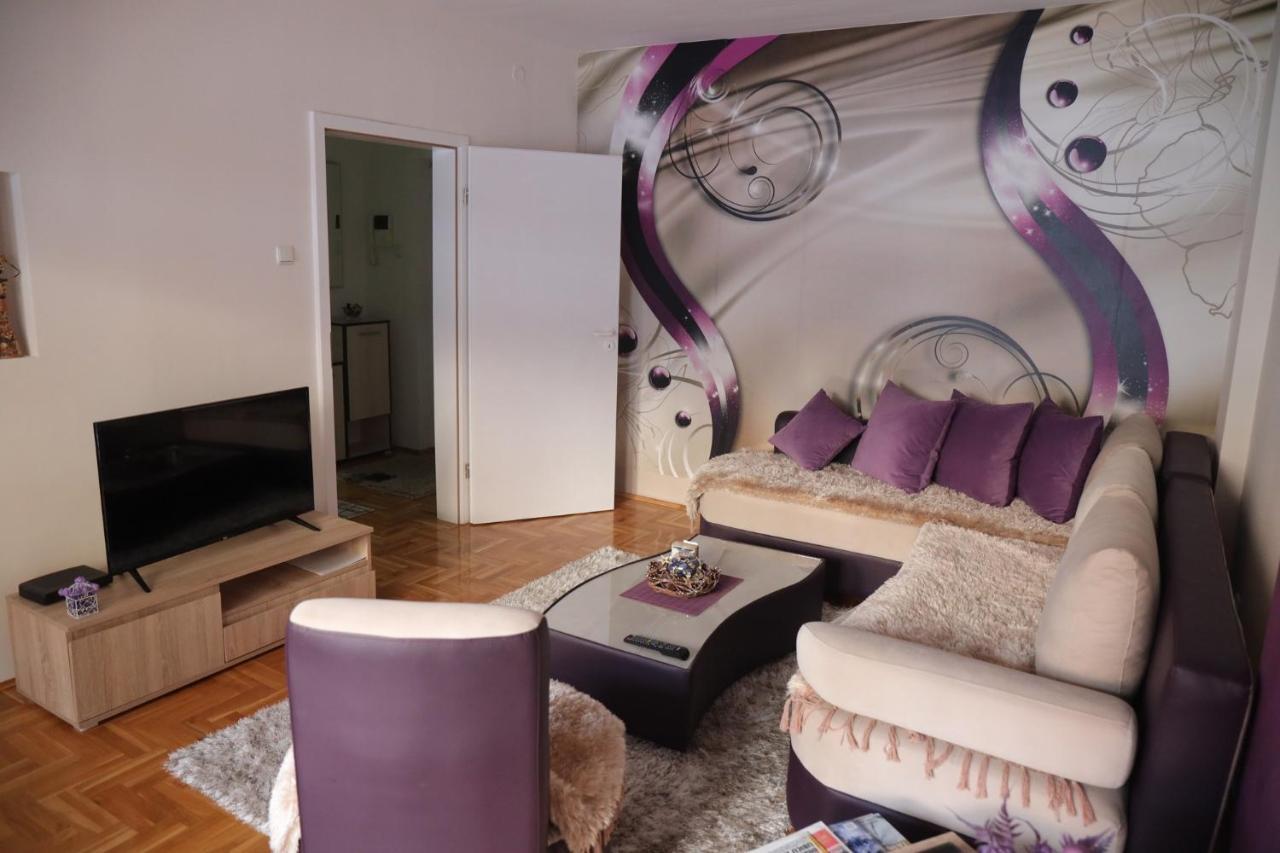 Apartment Aleksandar *