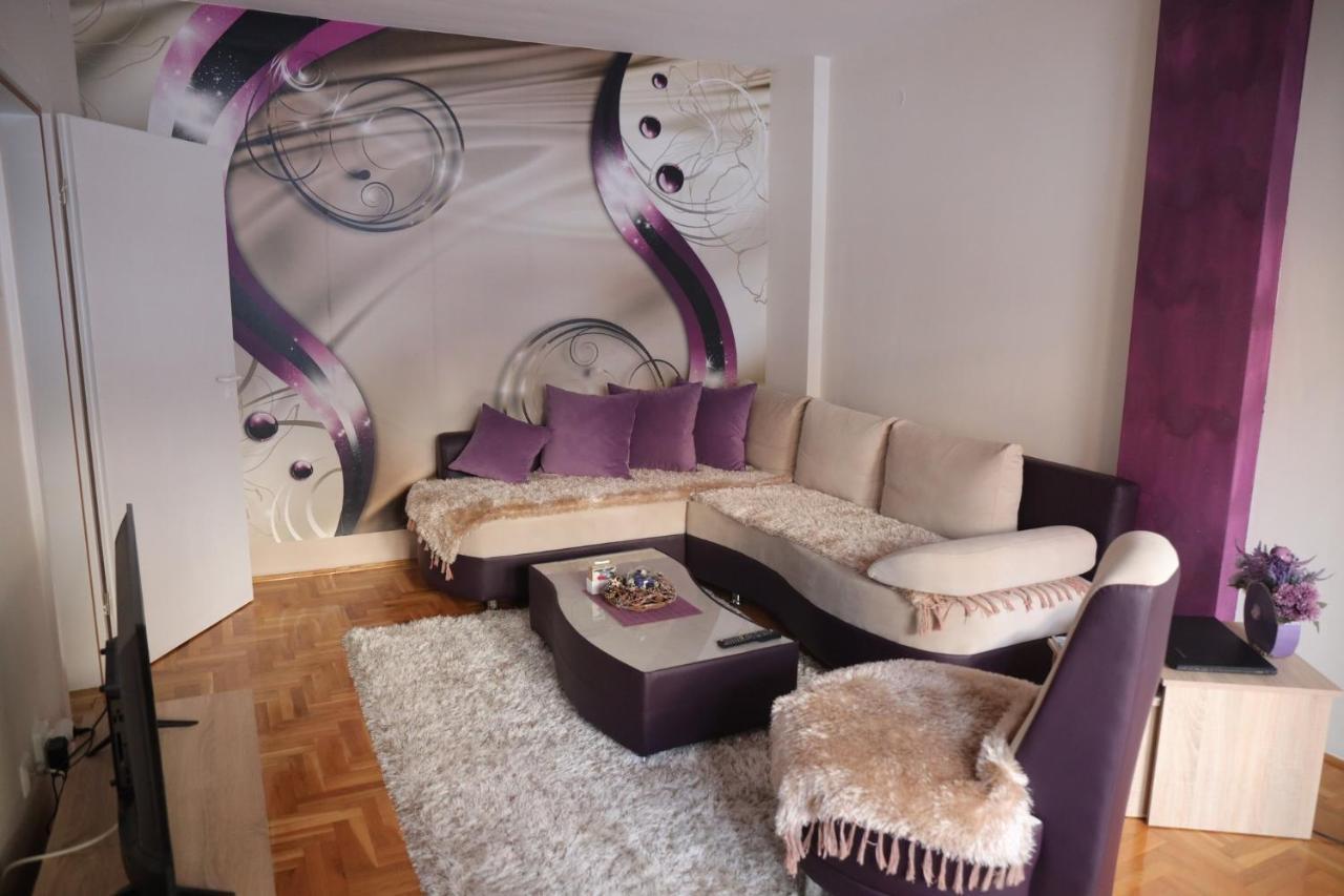 Apartment Aleksandar